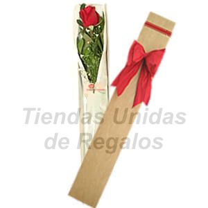 Rosa Importada de 55cm