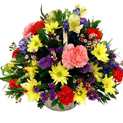 Gran Floral